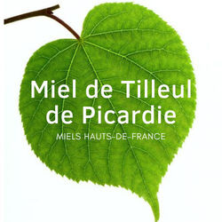 Miel de Tilleul de Picardie